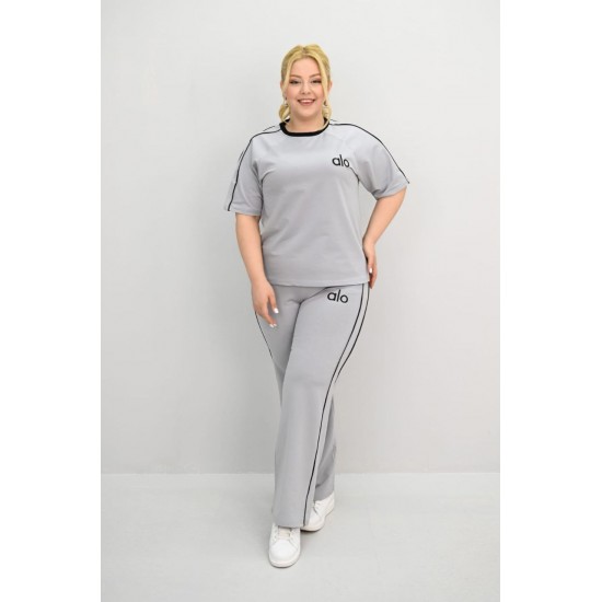 183419 Grey Track suitcase