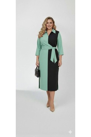 184372 RENKLİ ELBİSE