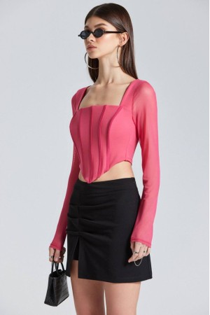 202654 TOPTAN PEMBE CROP