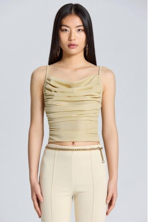 204263 TOPTAN BEJ CROP