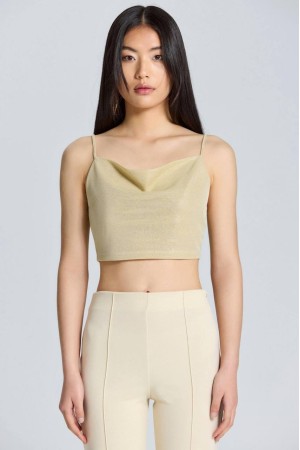 204264 TOPTAN BEJ CROP