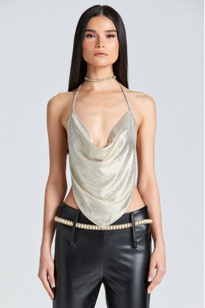 204271 TOPTAN GOLD CROP