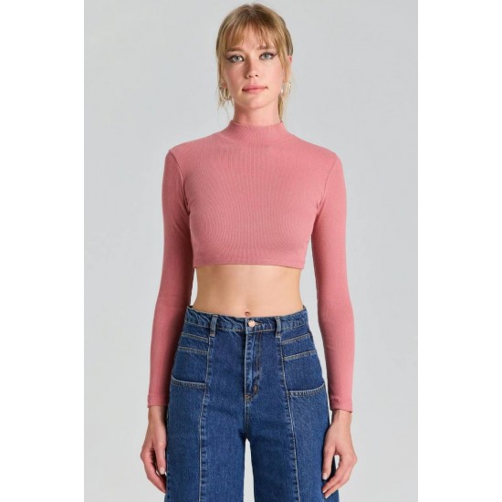 204300 dried rose Crop