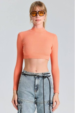 204301 TOPTAN PUDRA CROP