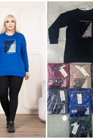 218659 TOPTAN BEJ SWEAT