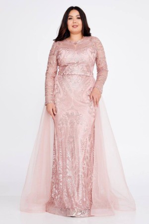 219717 powder Evening dress