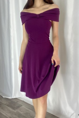 223710 damson DRESS