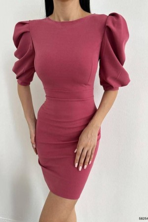 223787 dried rose DRESS