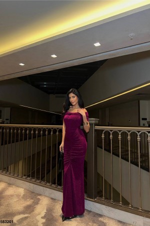 223881 damson Evening dress