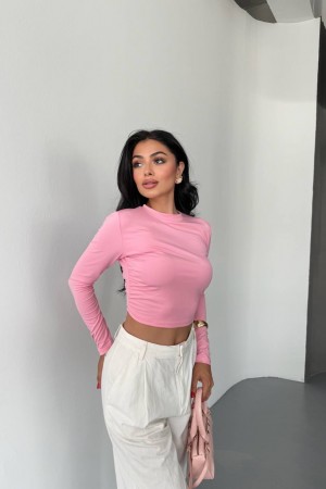 228319 PEMBE CROP