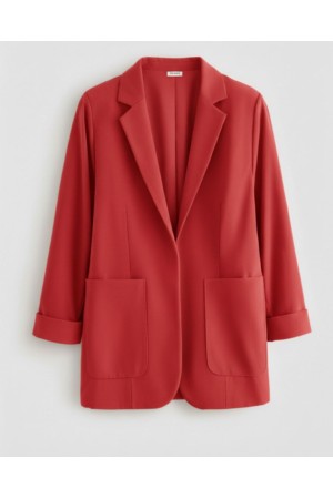 231045 RED JACKET