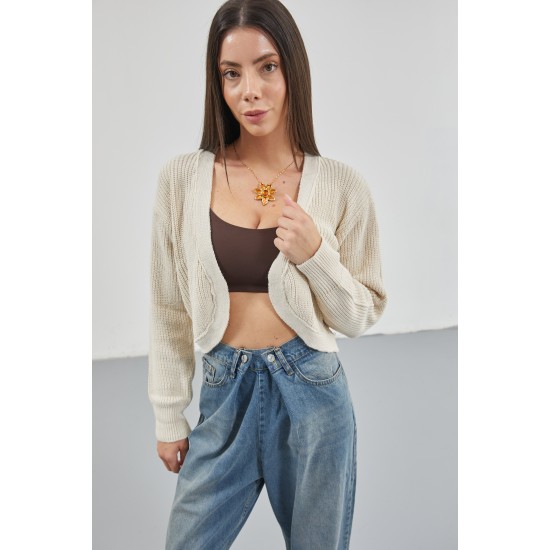 F42913212760247 BLUE GENEL