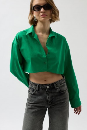 F43287151804599 GREEN SHIRT