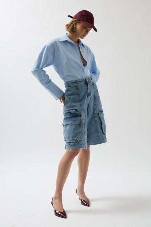 F43287812440247 BLUE GENEL