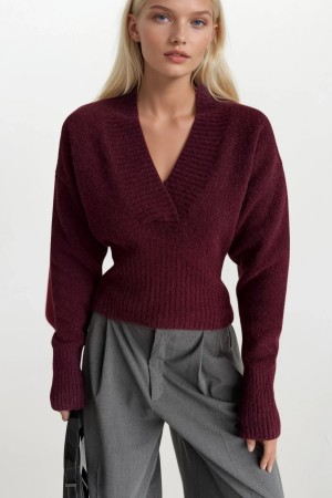 F45495123443895 Burgundy GENEL