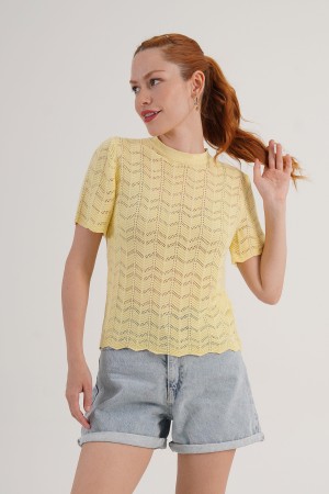 H6617-SARI-STD SARI BLUZ