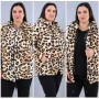 218669 leopard Sweat